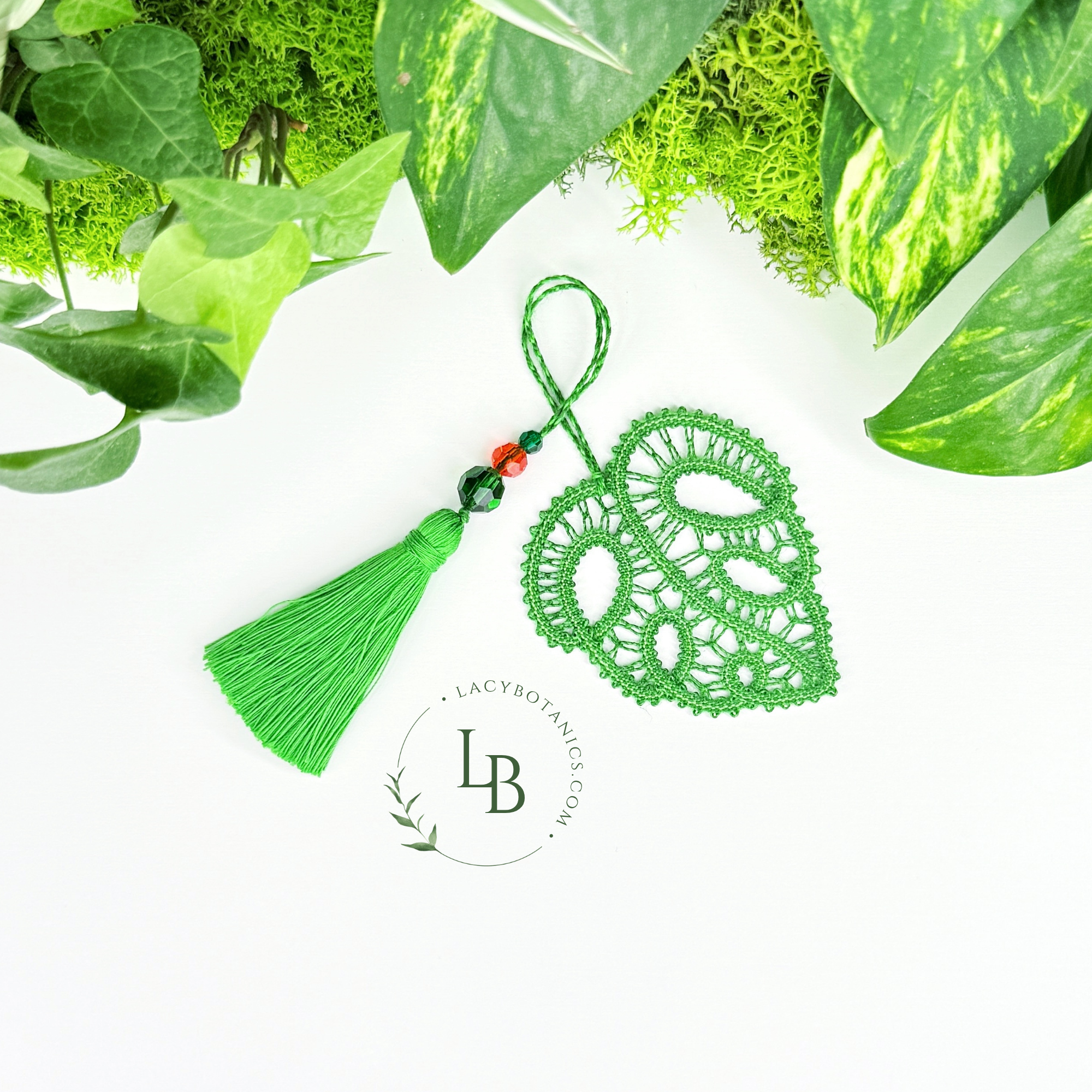 philodendron birkin wiki Philodendron 'Birkin' main image 1